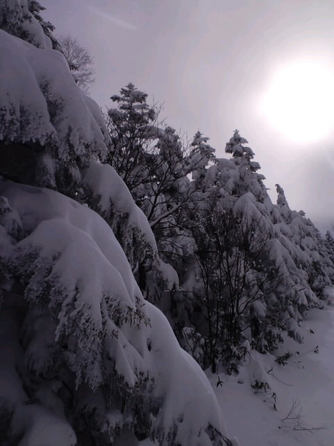 雪のちハレルヤ
