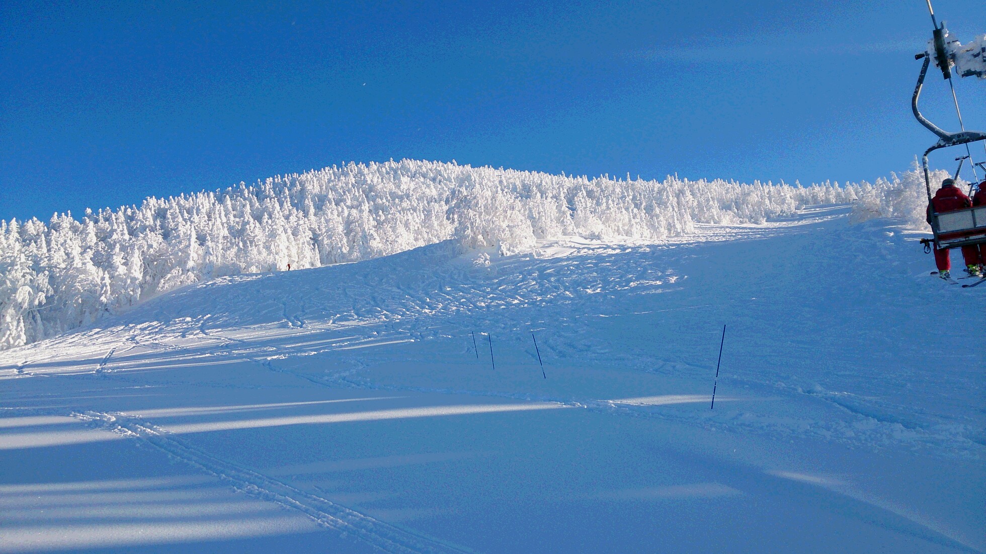 粉雪あそび